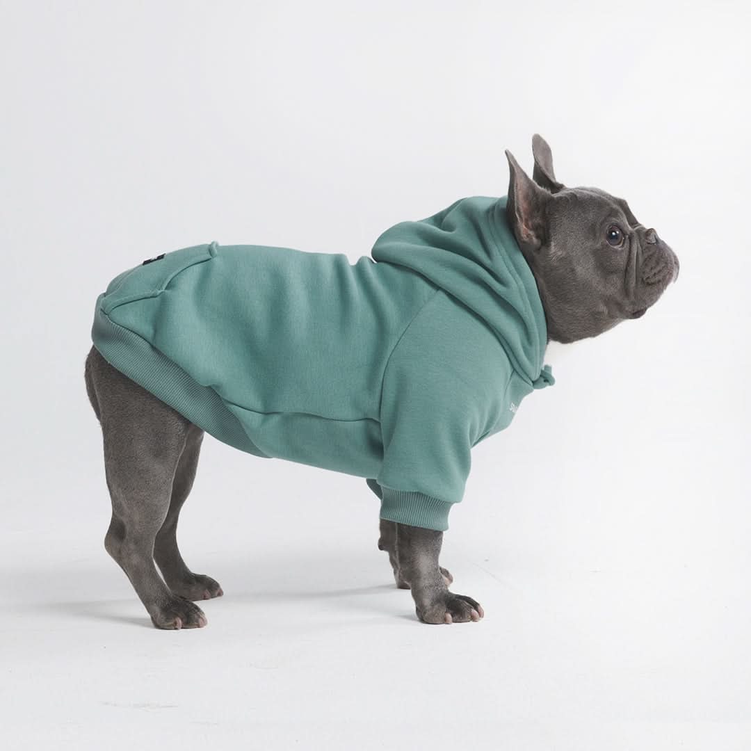Essential Dog Hoodies - Image 5