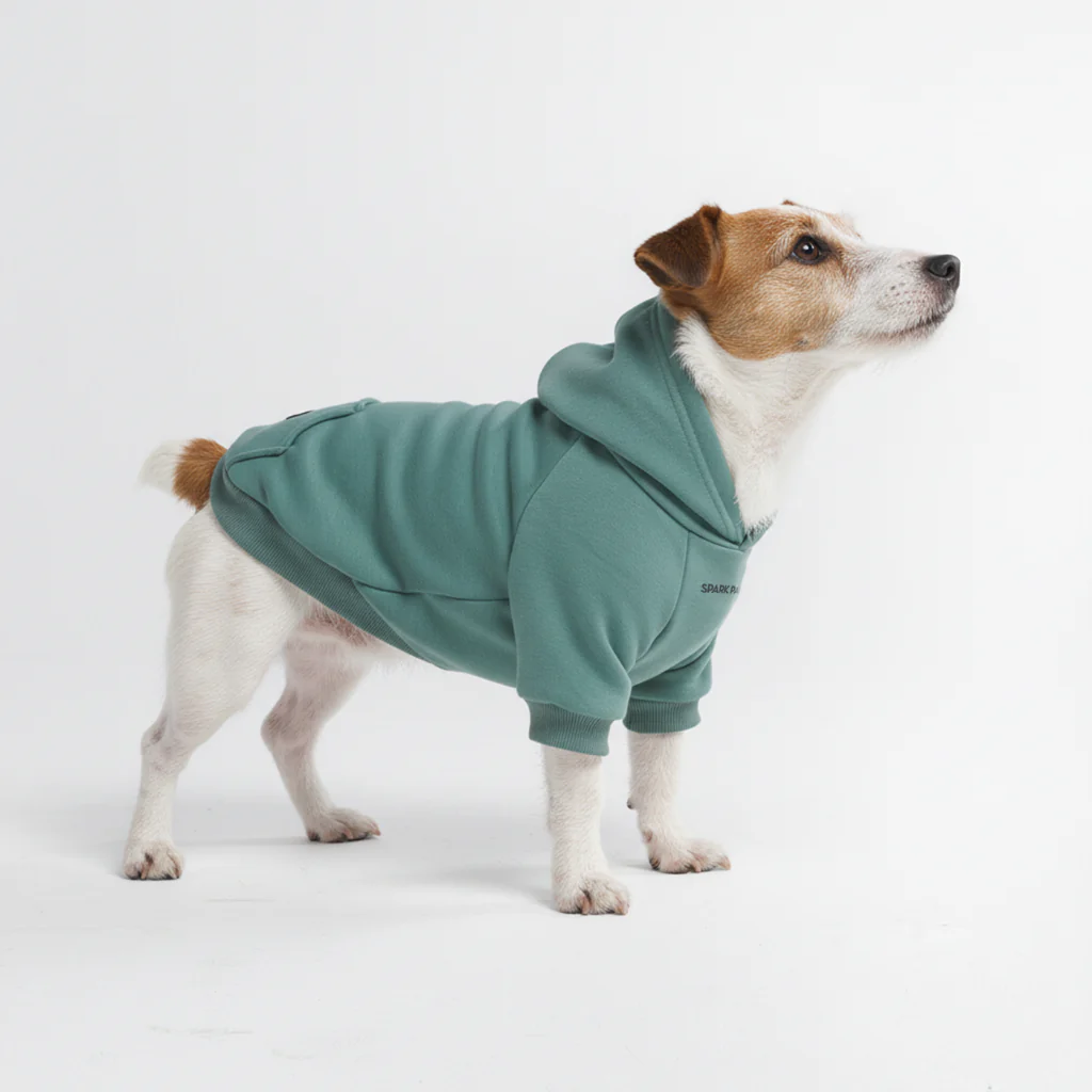 Essential Dog Hoodie - Teal - Image 4