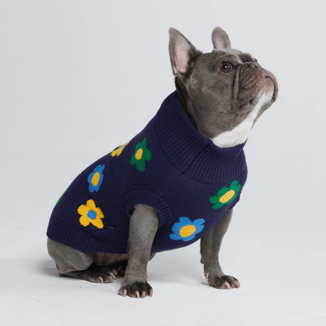 Knit Dog Sweater Prints - Image 14