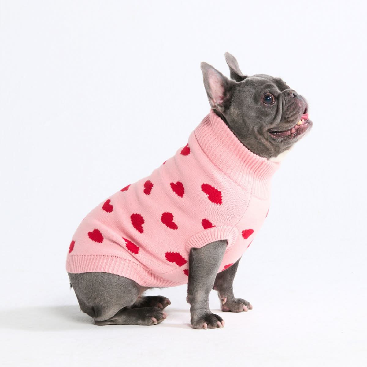 Knit Dog Sweater Prints - Image 31