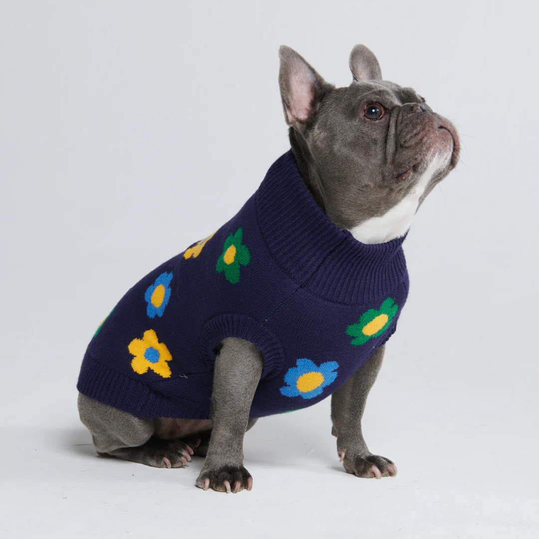Flower Knit Dog Sweater - Blue Green Yellow - Image 5