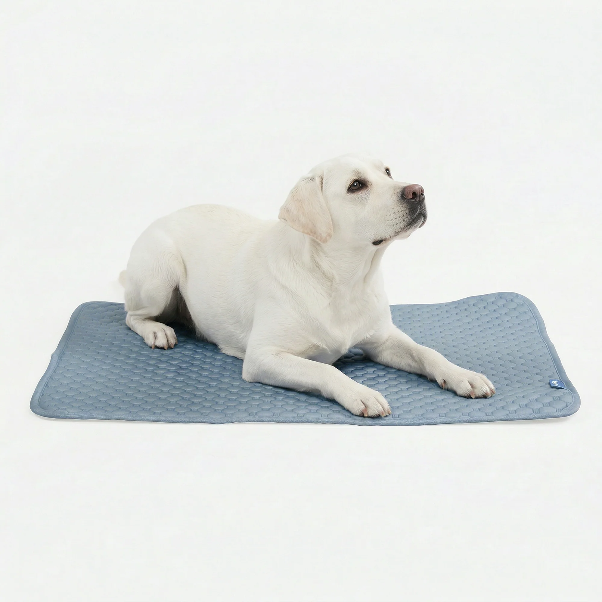 Frostcore™ Cooling Mat - Image 12