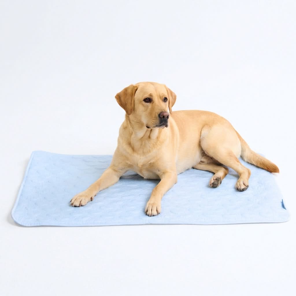 Frostcore™ Cooling Mat - Image 5