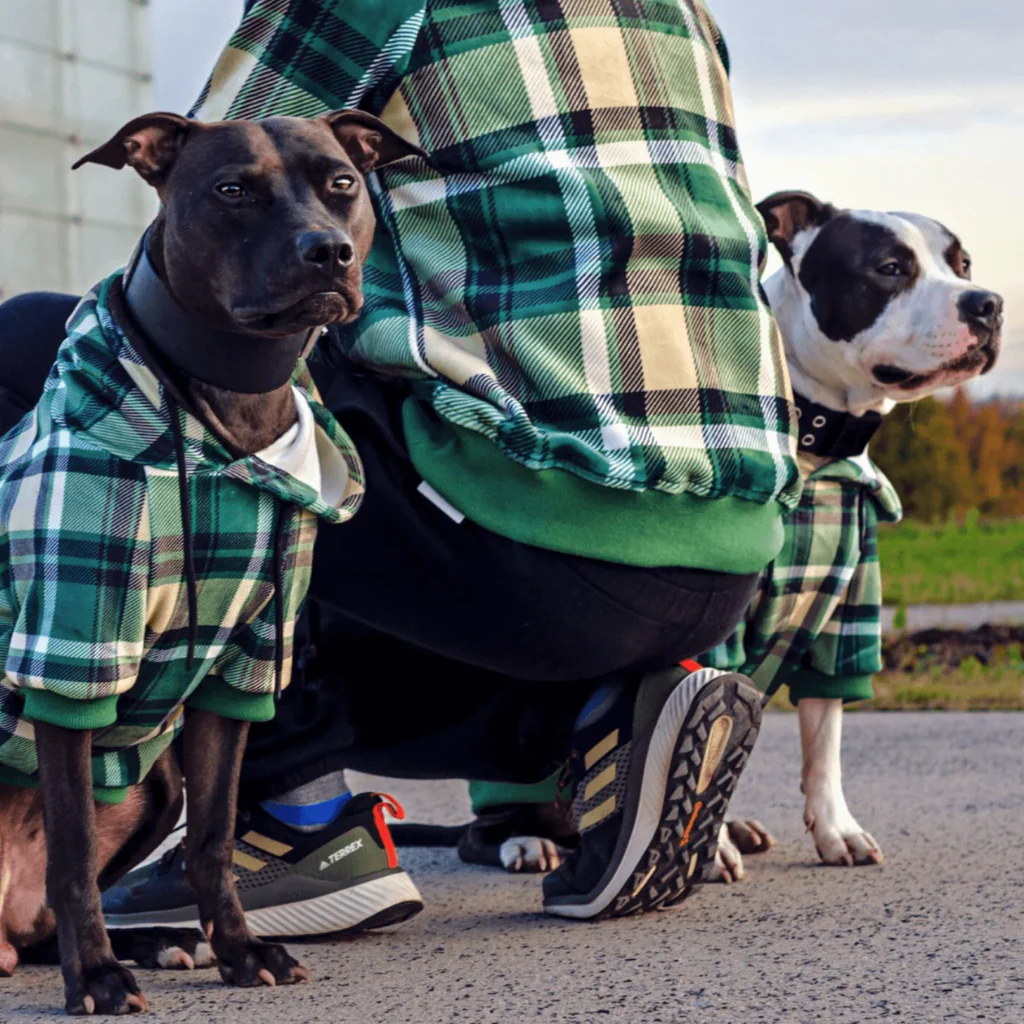 Green Plaid Dog Hoodie - Image 12