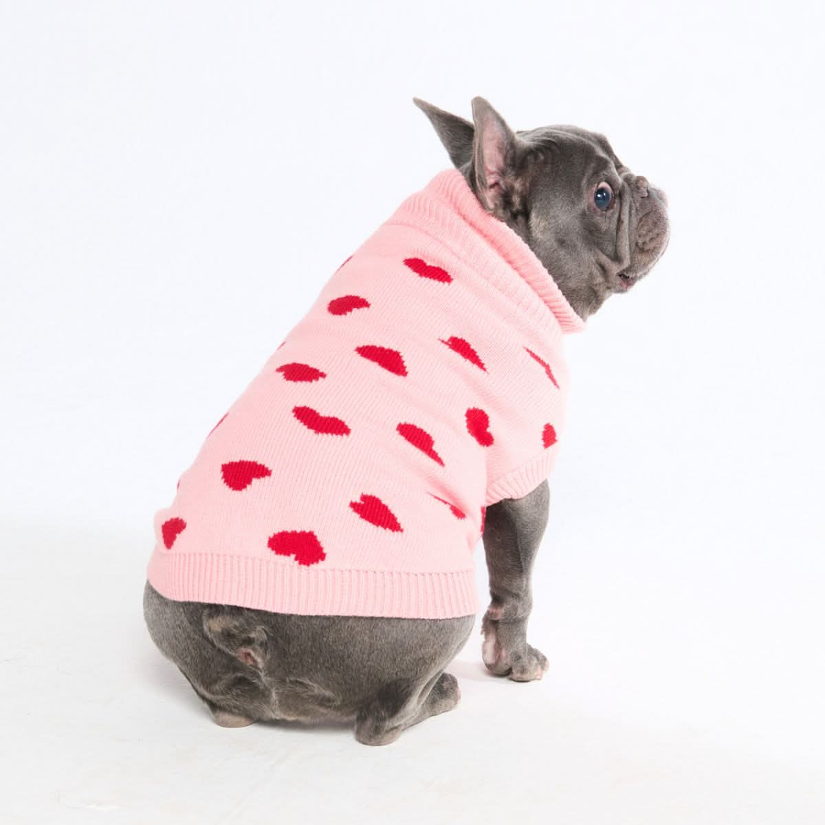 Hearts Knit Dog Sweater - Image 3