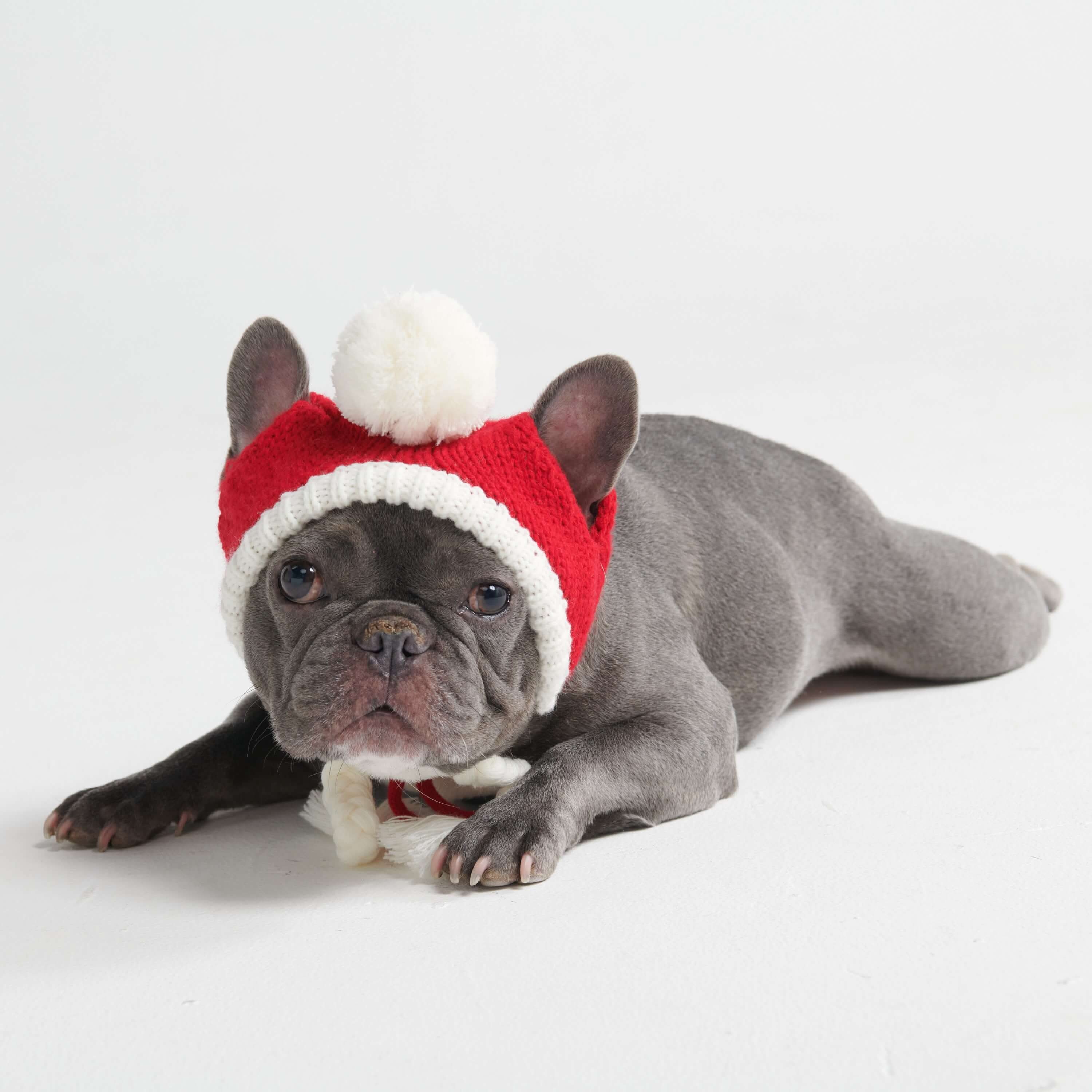 Knit Pom Pom Dog Beanie Hats - Image 16