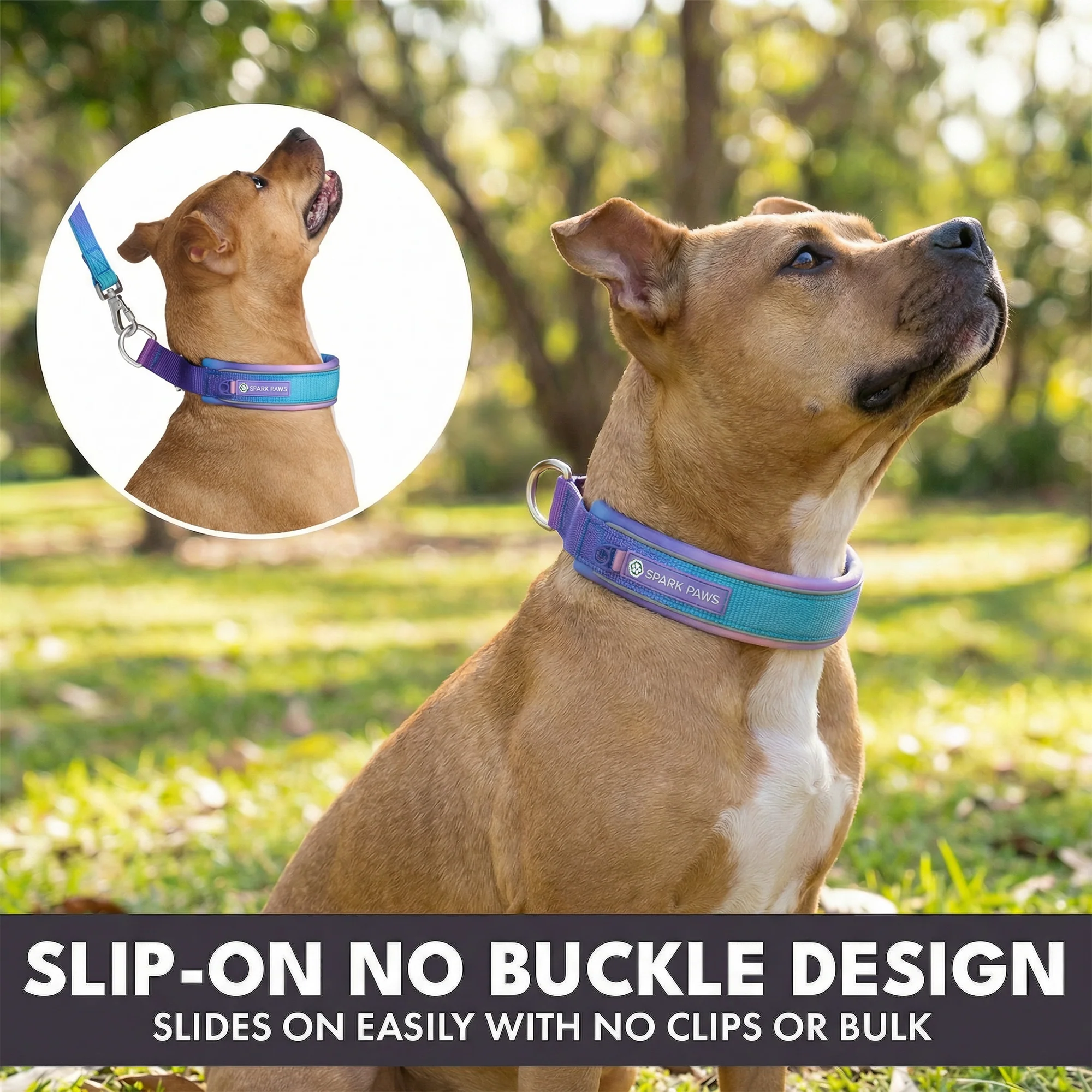 Martingale Collar and Multipurpose Leash Sets - Image 15