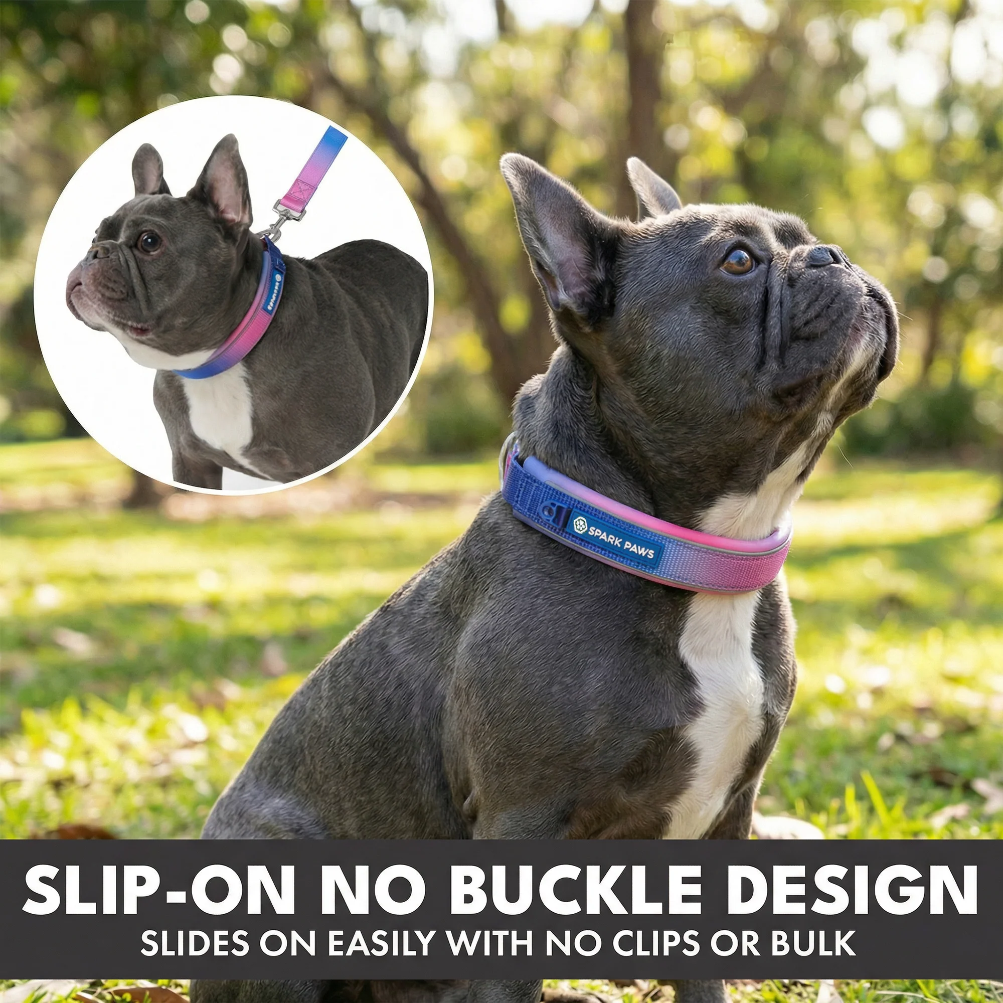 Martingale Collar and Multipurpose Leash Sets - Image 54