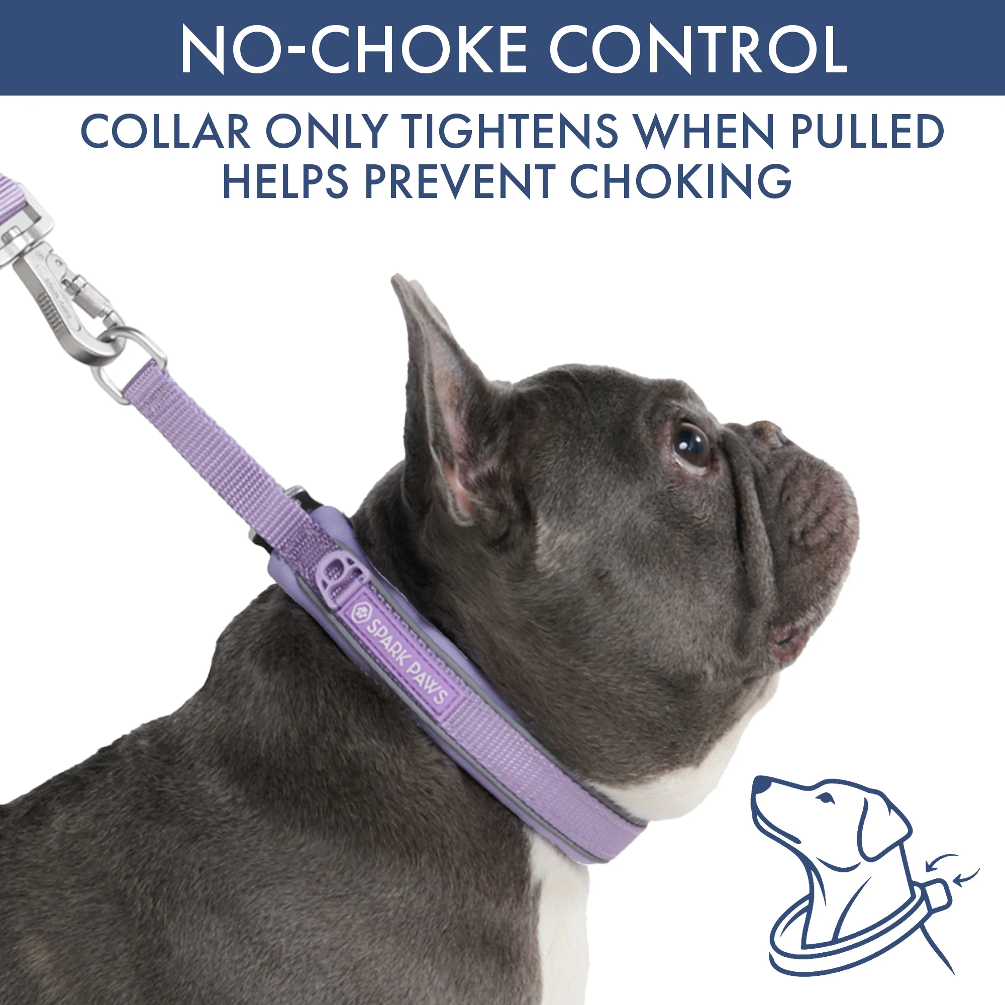Martingale Collar and Multipurpose Leash Sets - Image 62