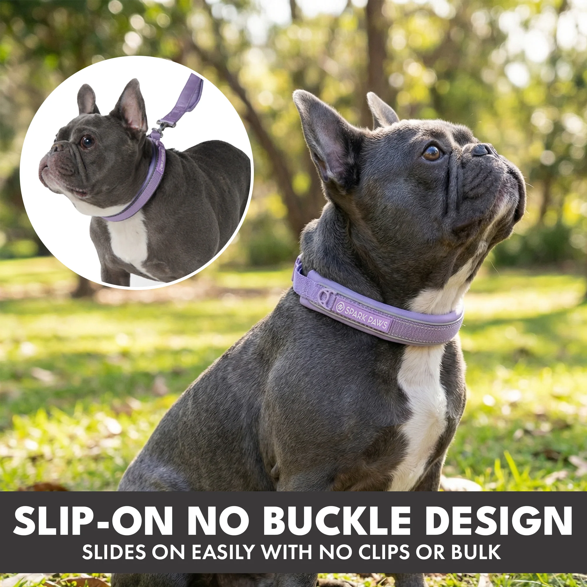 Martingale Collar and Multipurpose Leash Sets - Image 64