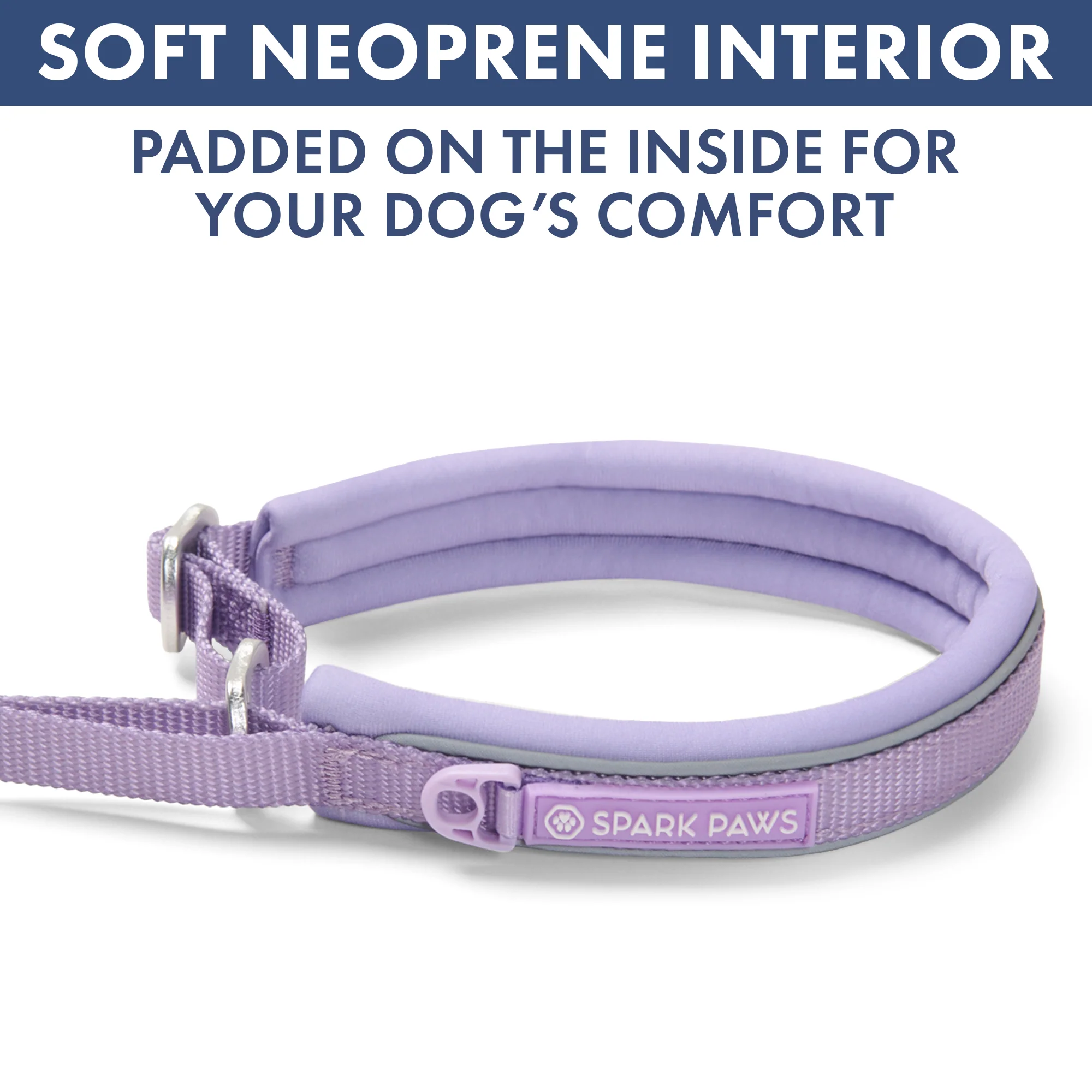Martingale Collar and Multipurpose Leash Sets - Image 66