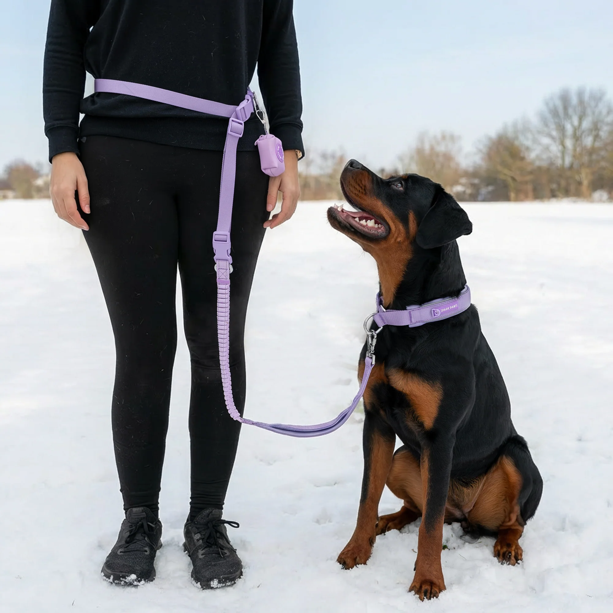Martingale Collar and Multipurpose Leash Sets - Image 70