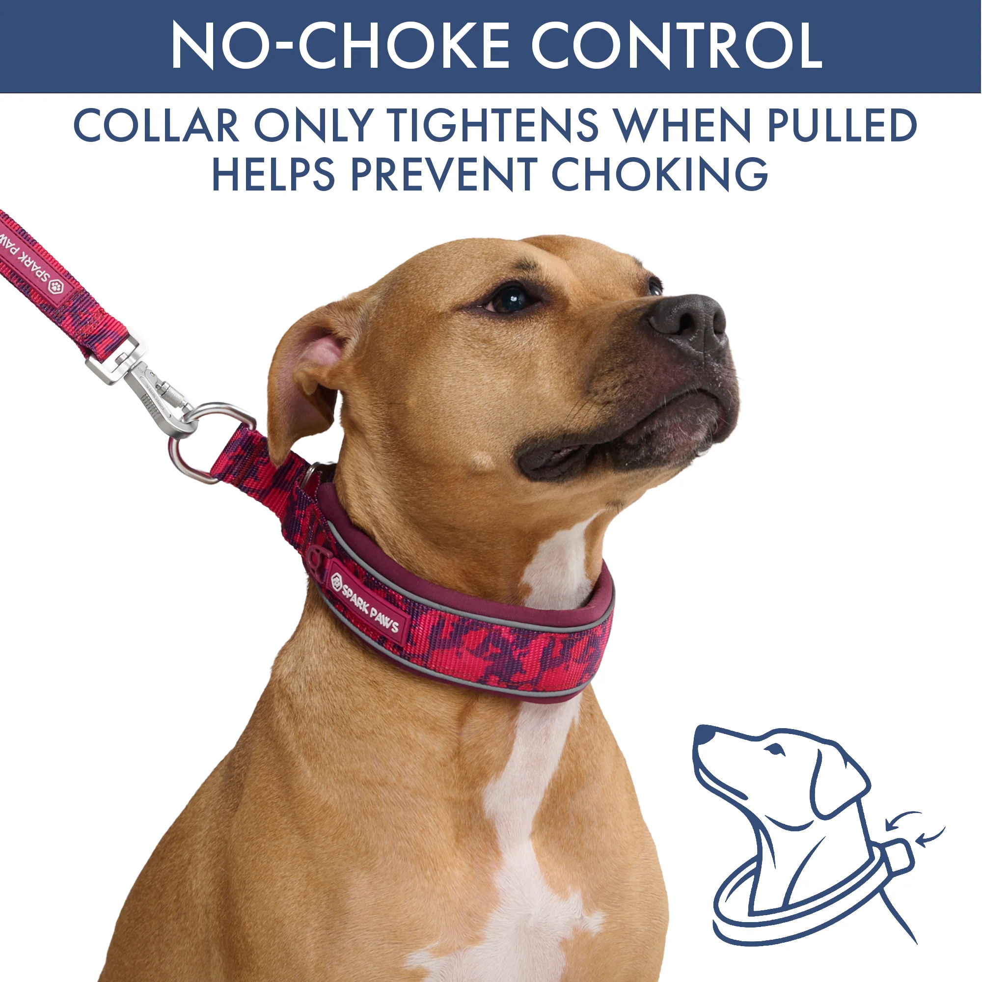 Martingale Collar and Multipurpose Leash Sets - Image 73