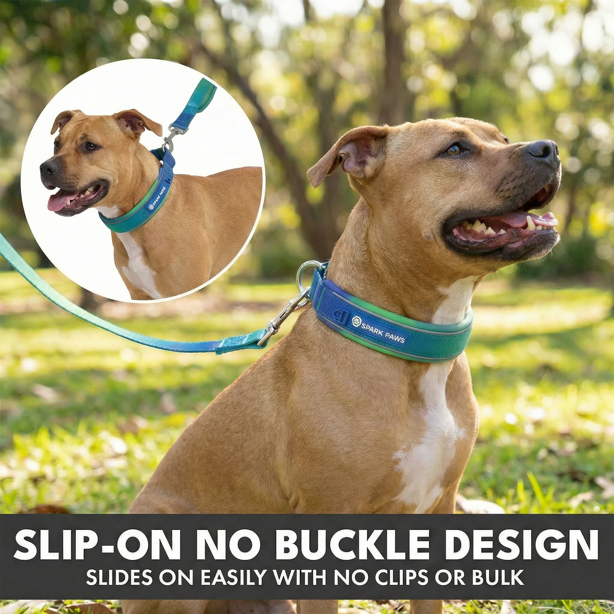 Martingale Collar Set - Lime Wave - Image 5