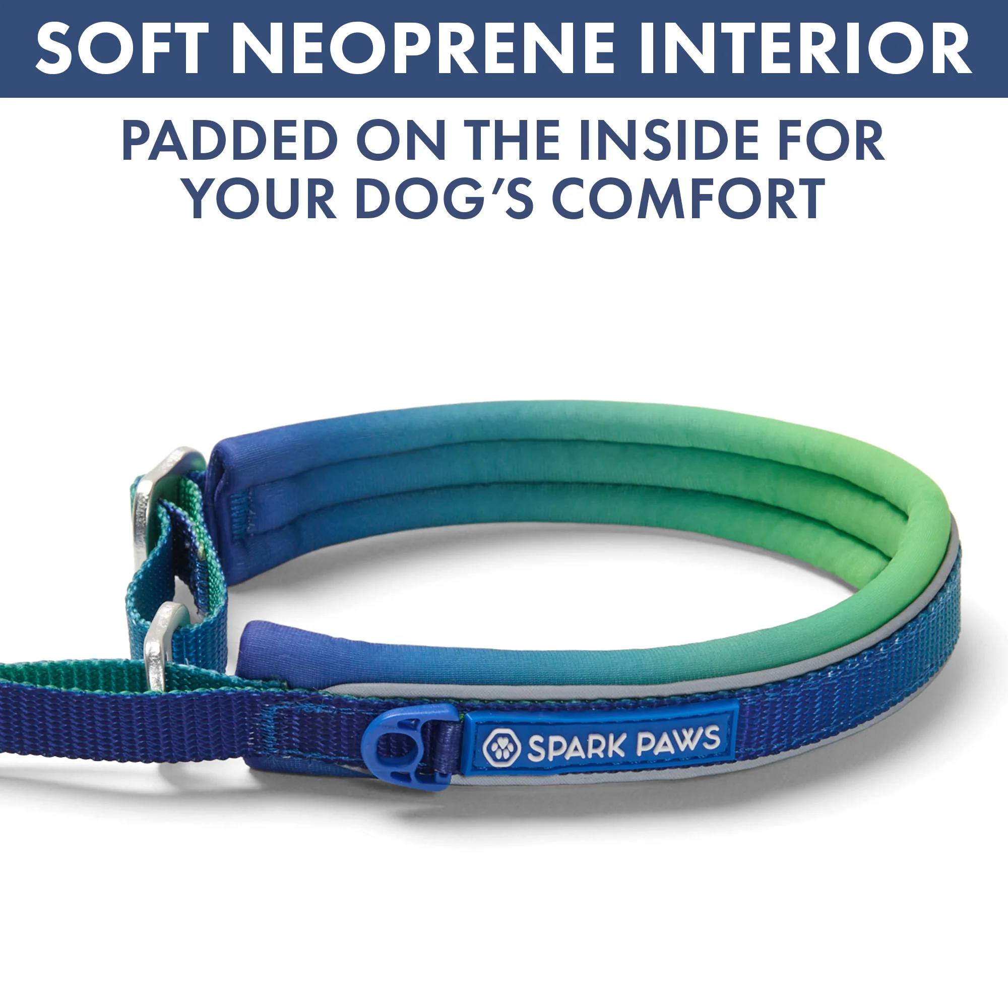 Martingale Collar Set - Lime Wave - Image 6