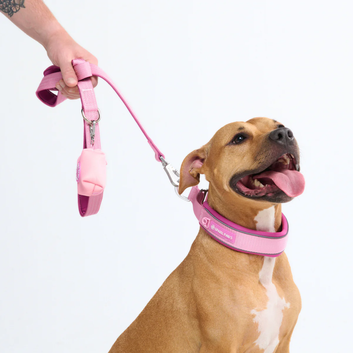 Cushioned Martingale Collar - Pink - Image 9