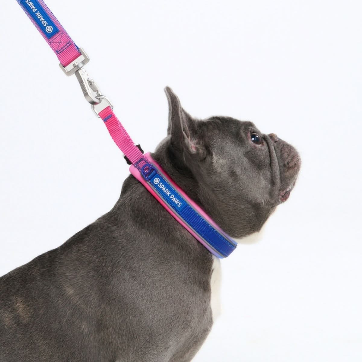 Cushioned Martingale Collar - Snow Cone - Image 3