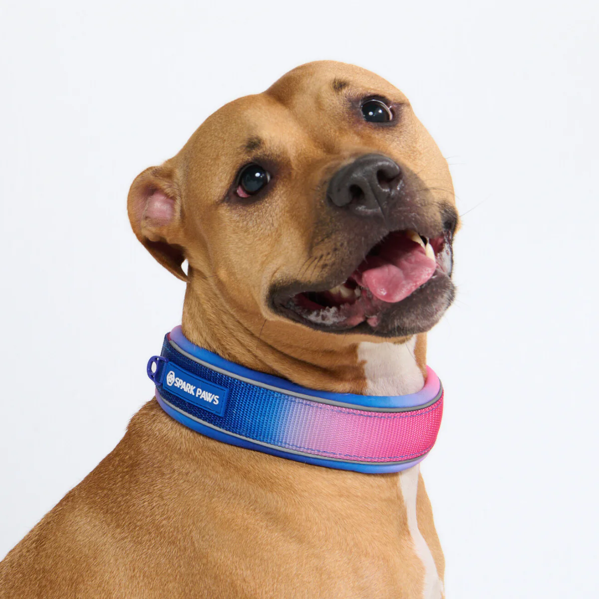 Cushioned Martingale Collar - Snow Cone - Image 8