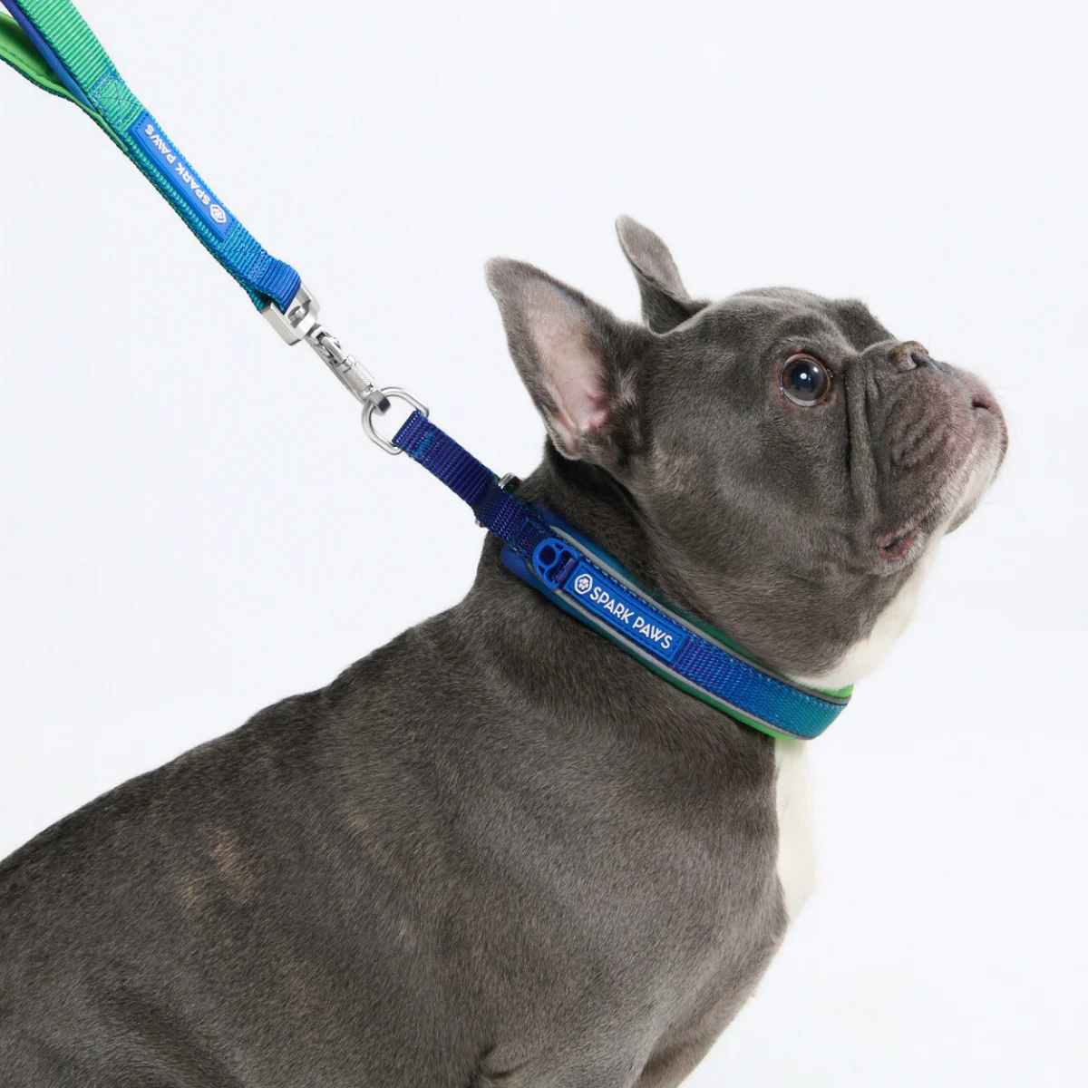 Cushioned Martingale Collars - Image 25