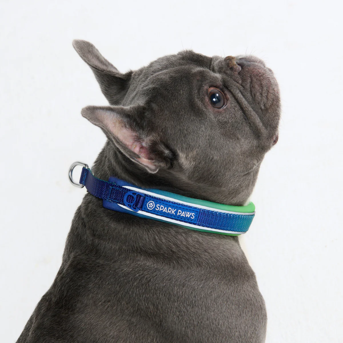 Cushioned Martingale Collars - Image 26