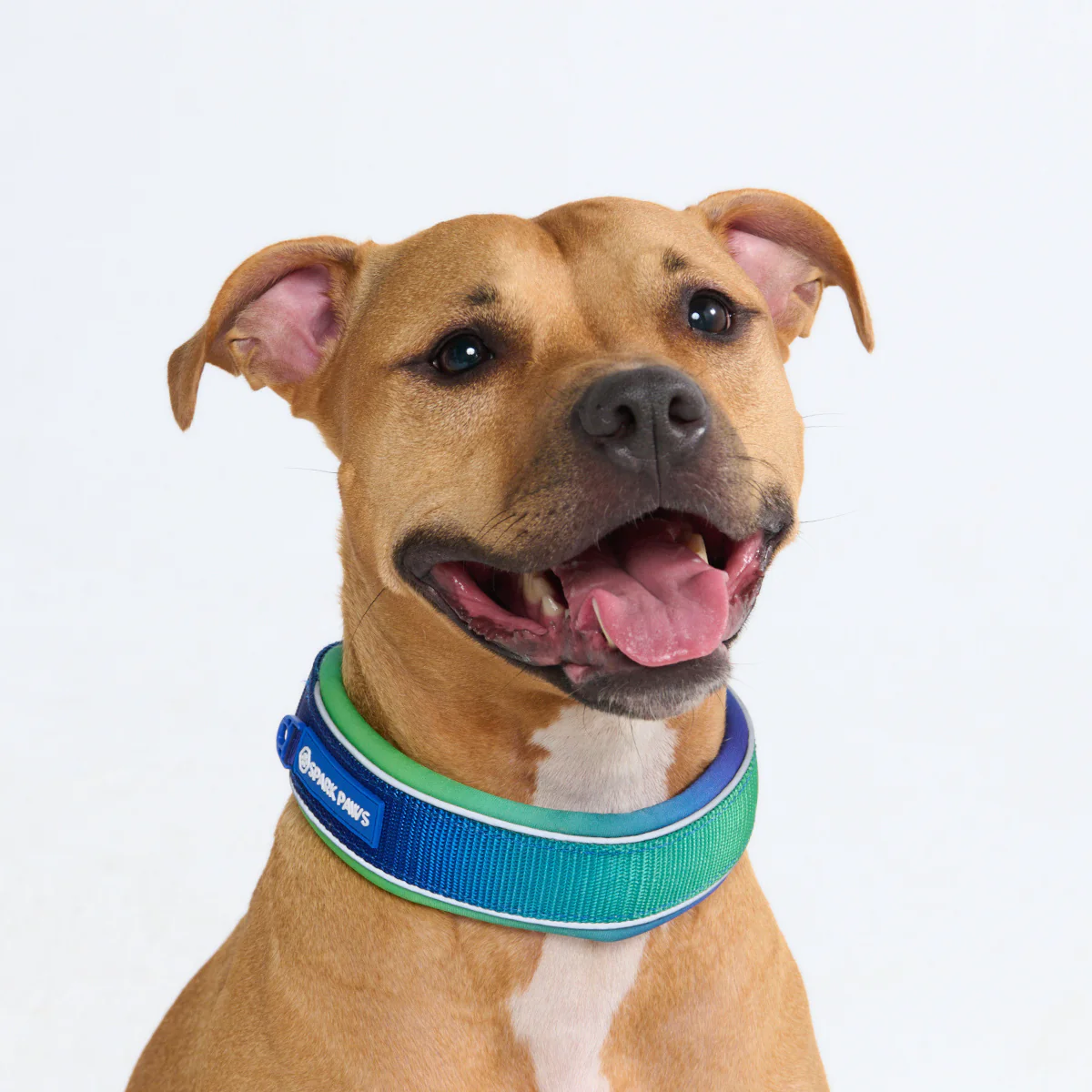 Cushioned Martingale Collars - Image 31