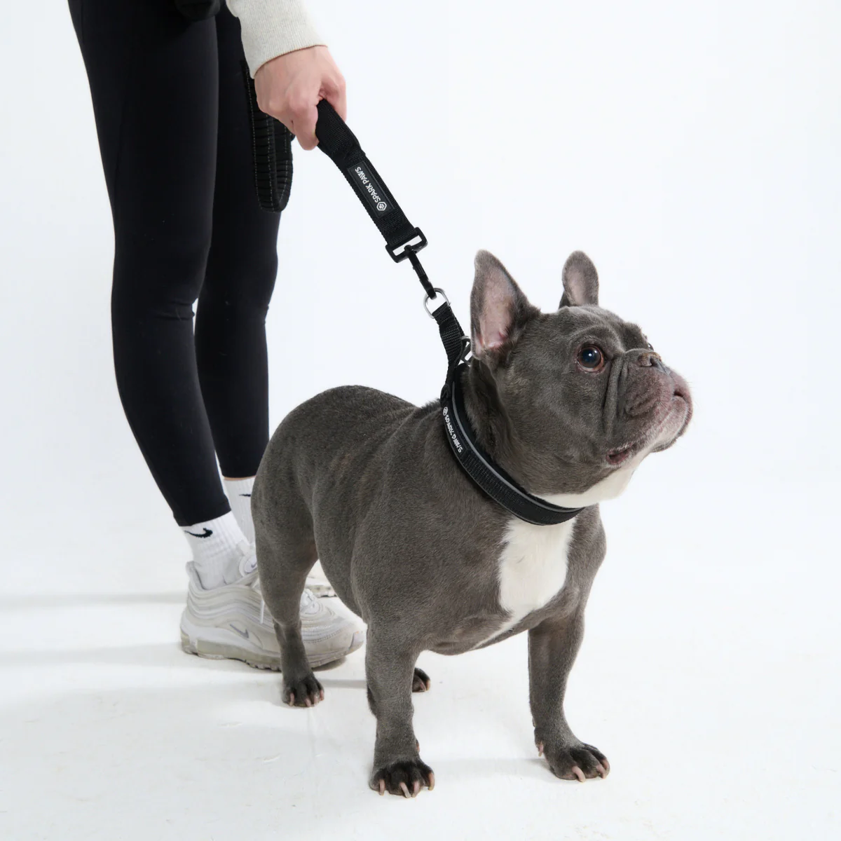 Cushioned Martingale Collars - Image 37