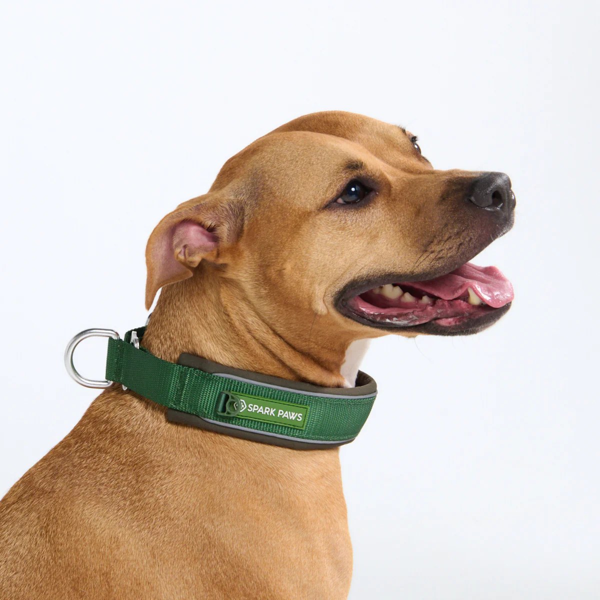 Cushioned Martingale Collars - Image 51