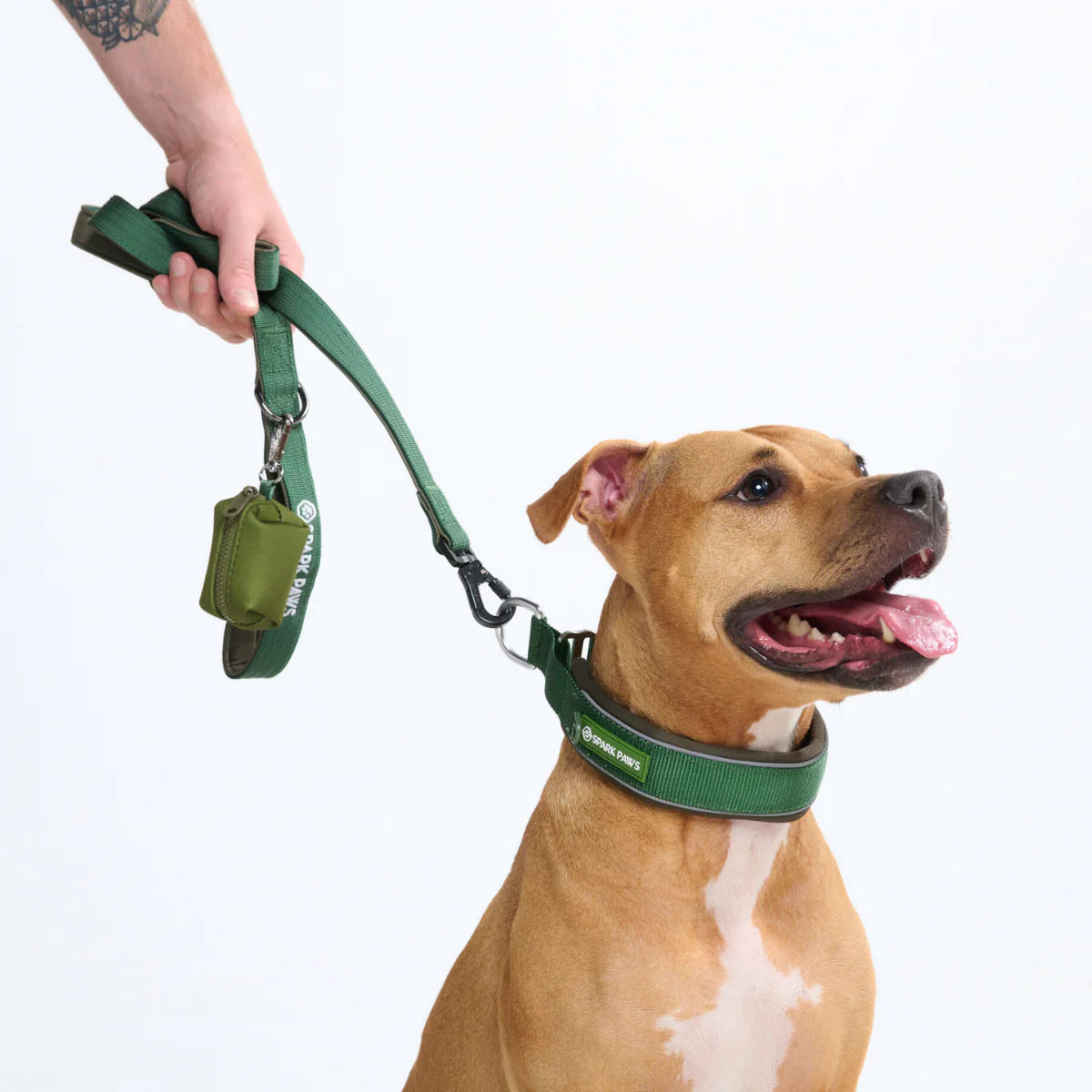 Cushioned Martingale Collars - Image 53