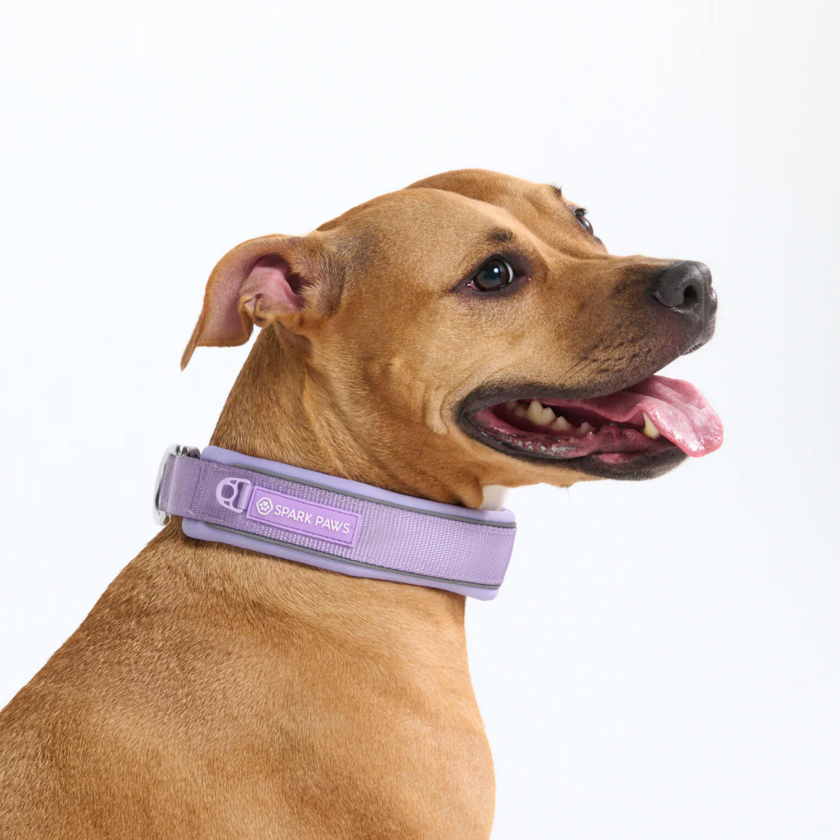 Cushioned Martingale Collars - Image 72