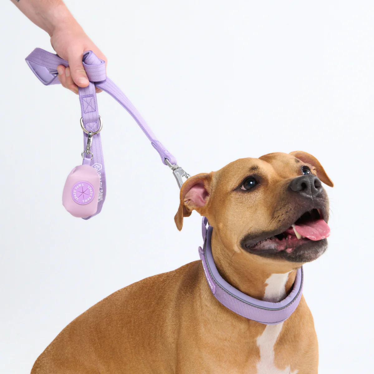 Cushioned Martingale Collars - Image 74