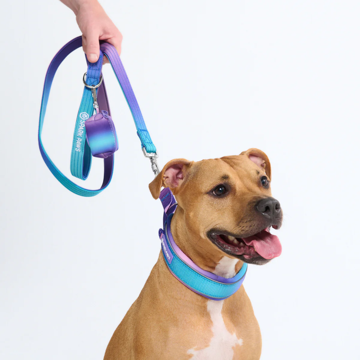 Cushioned Martingale Collars - Image 9