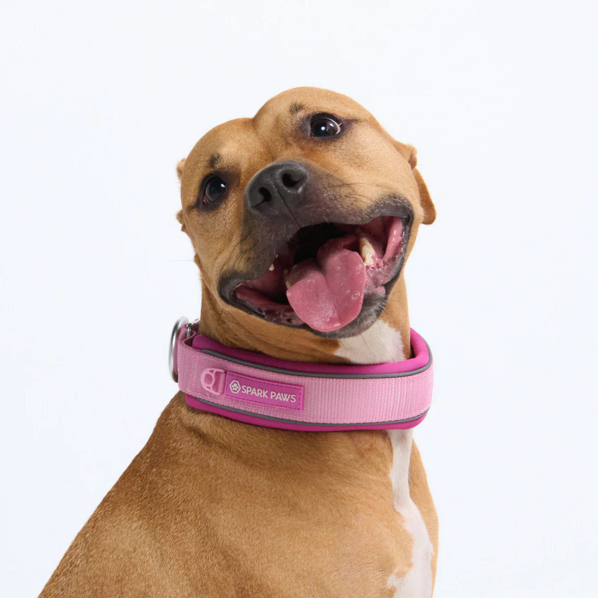 Cushioned Martingale Collars - Image 94