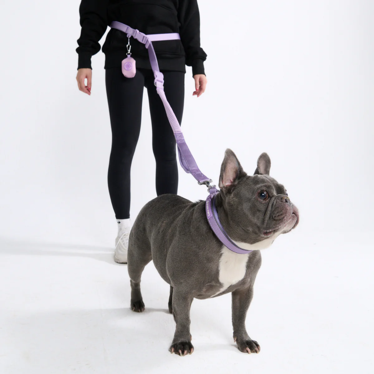 Multipurpose Seatbelt Handsfree Leash & Poop Bag Holder Set - Image 47
