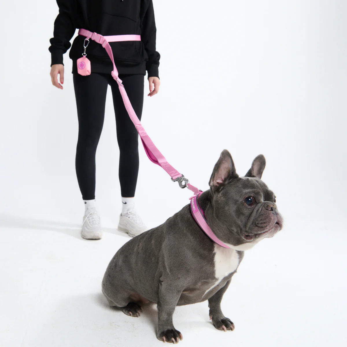 Multipurpose Seatbelt Handsfree Leash & Poop Bag Holder Set - Image 63