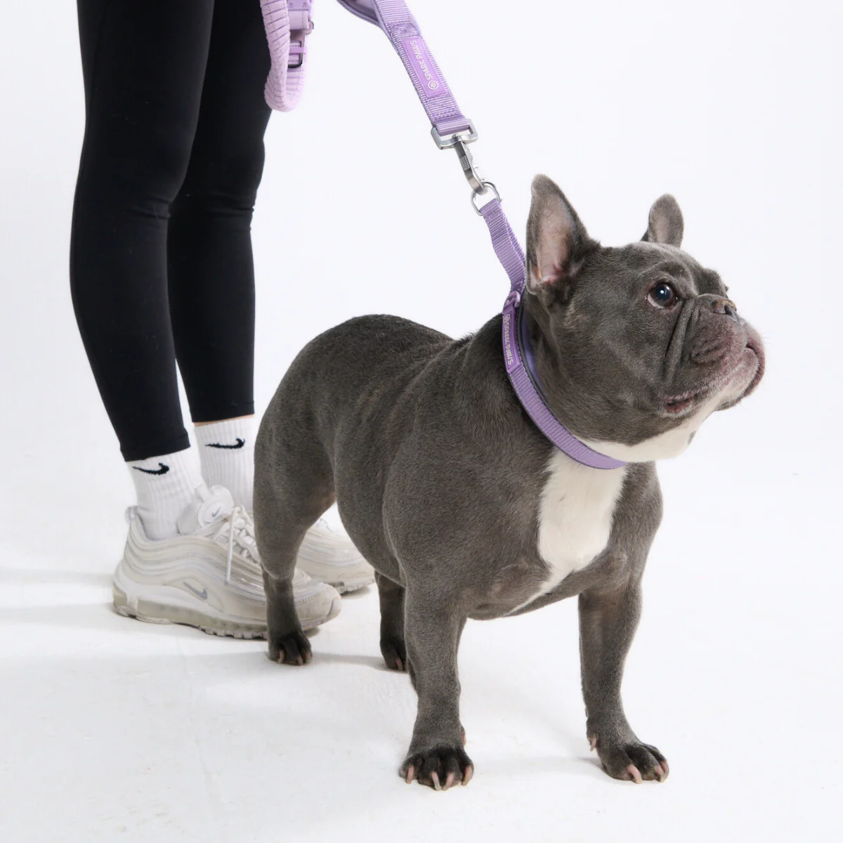 Multipurpose Seatbelt Handsfree Leash & Poop Bag Holder Set - Lilac - Image 8