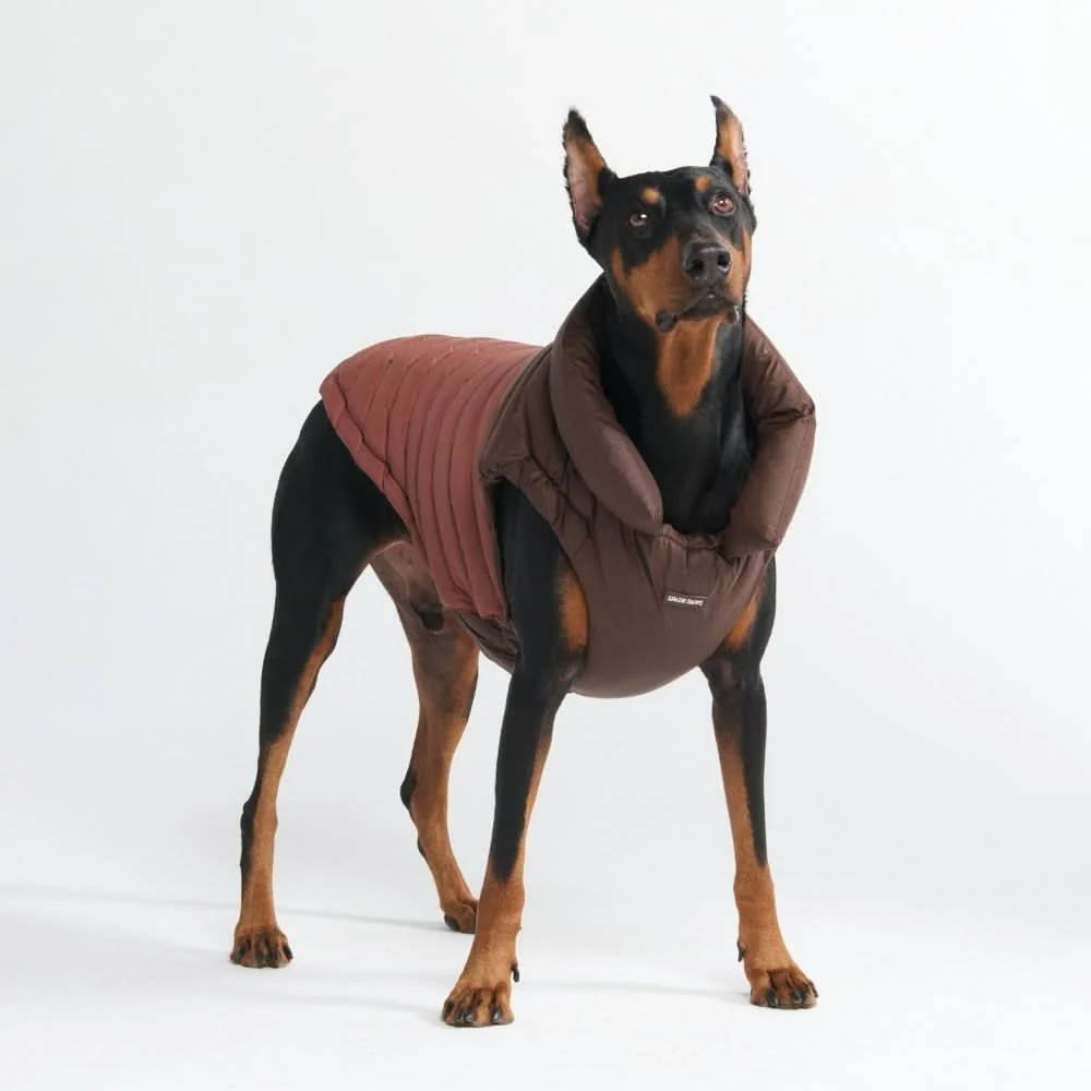 PuffShield Winter Jacket - Brown - Image 9
