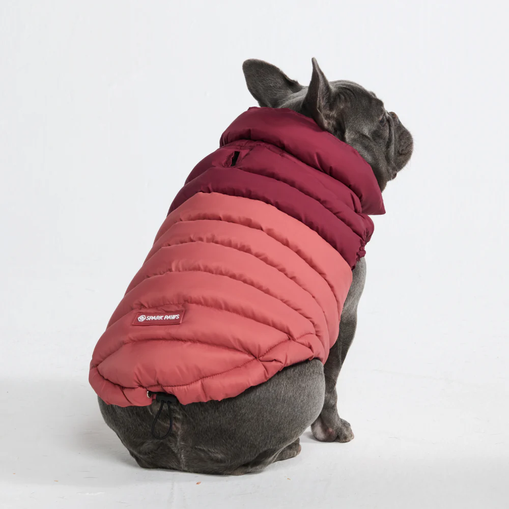 PuffShield Winter Jacket - Red - Image 2