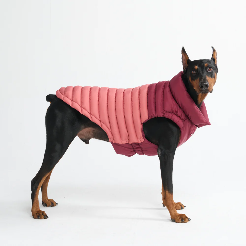 PuffShield Winter Jacket - Red - Image 9