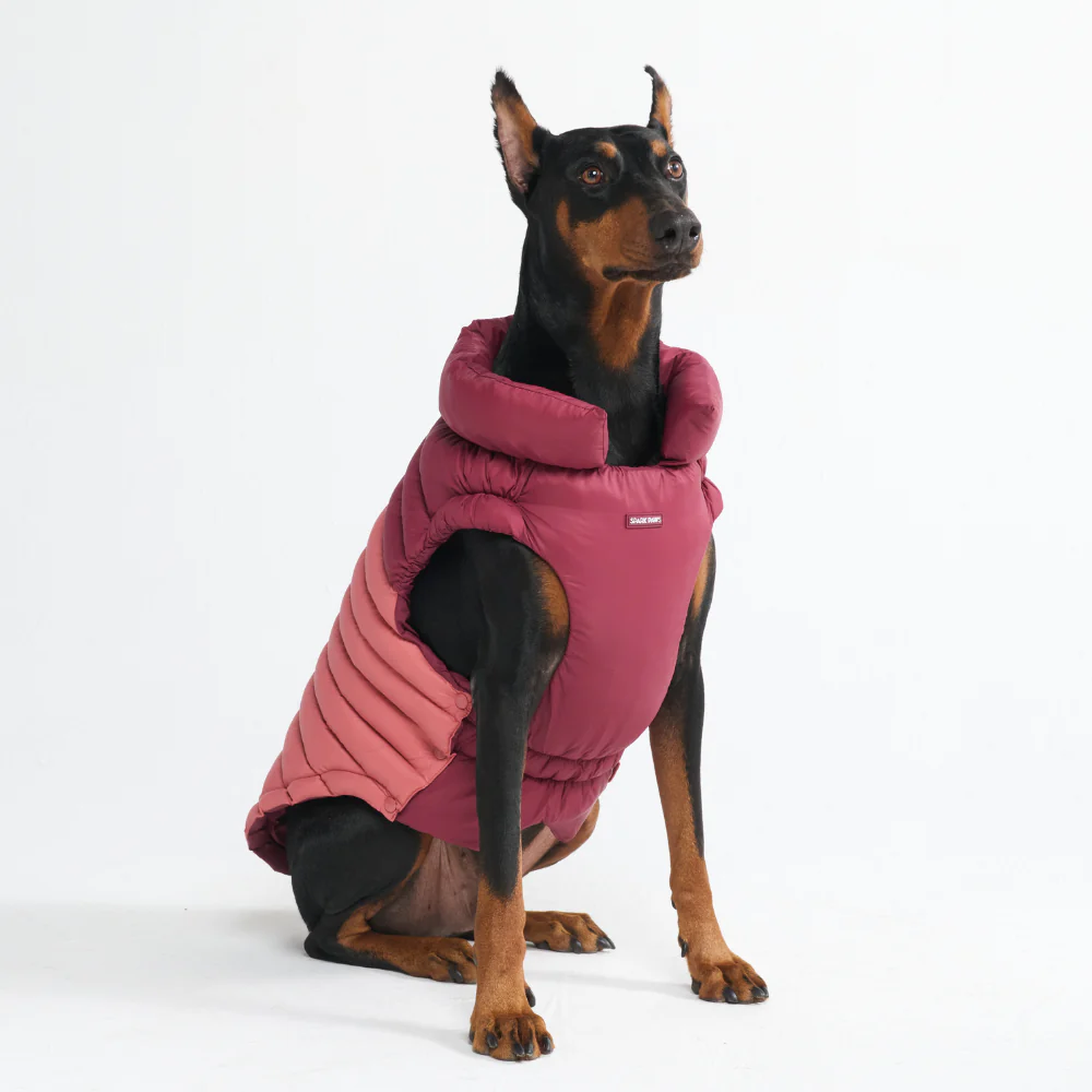 PuffShield Winter Jacket - Red - Image 10