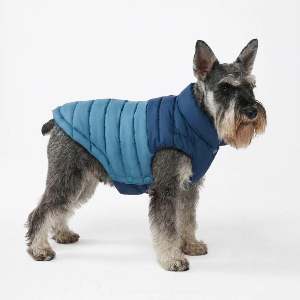 PuffShield Winter Jacket - Blue - Image 3