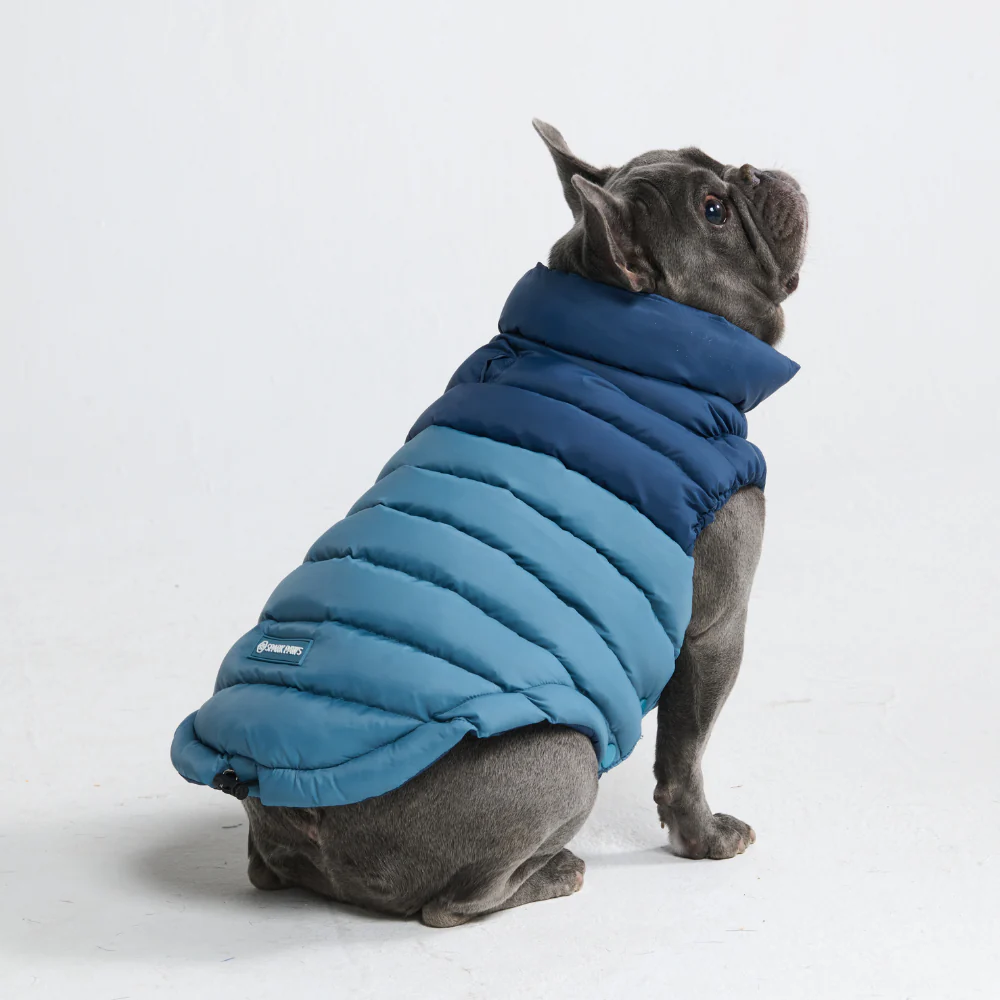 PuffShield Winter Jacket - Blue - Image 4