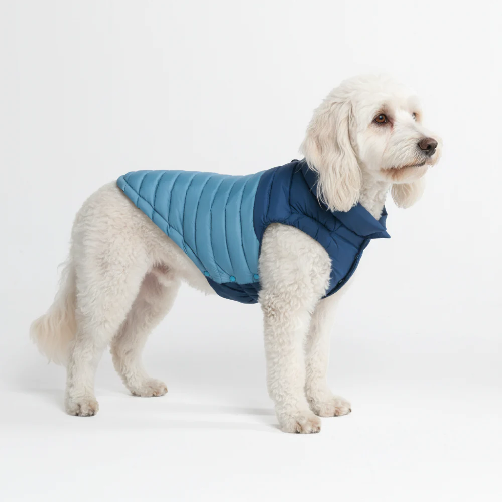 PuffShield Winter Jacket - Blue - Image 2