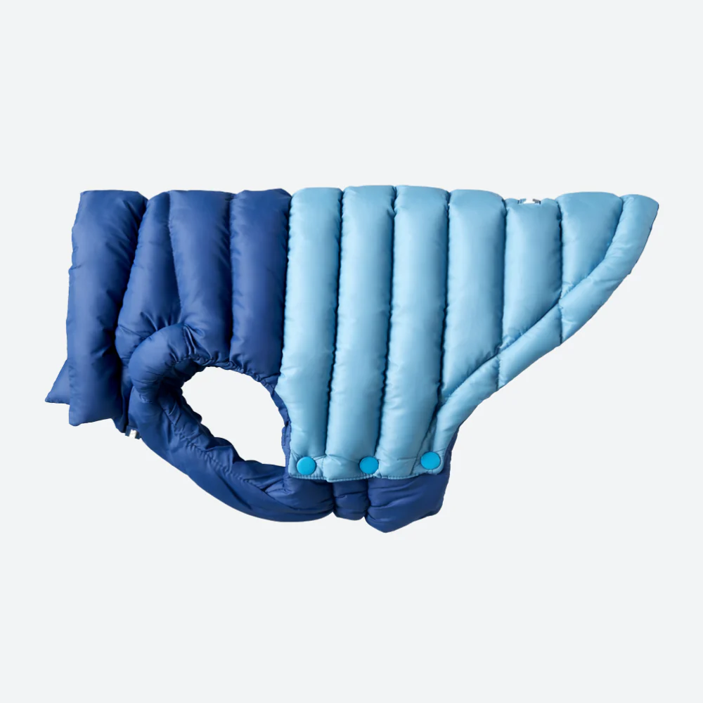 PuffShield Winter Jacket - Blue - Image 5