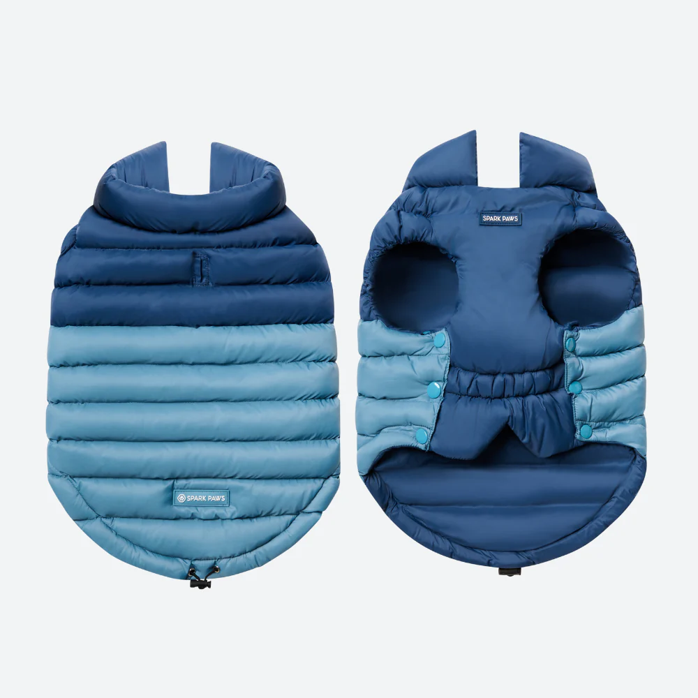 PuffShield Winter Jacket - Blue - Image 6