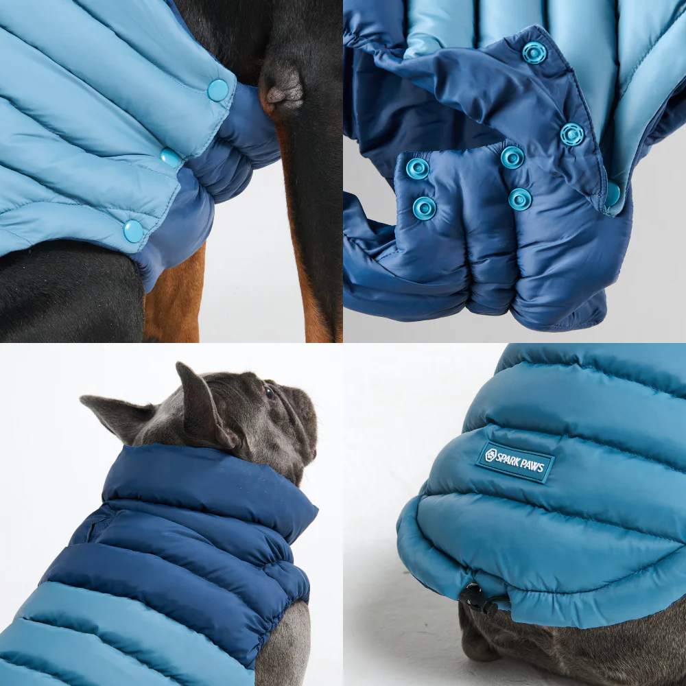 PuffShield Winter Jacket - Blue - Image 7