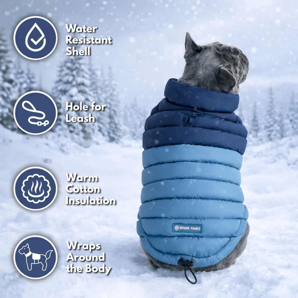 PuffShield Winter Jacket - Blue - Image 8