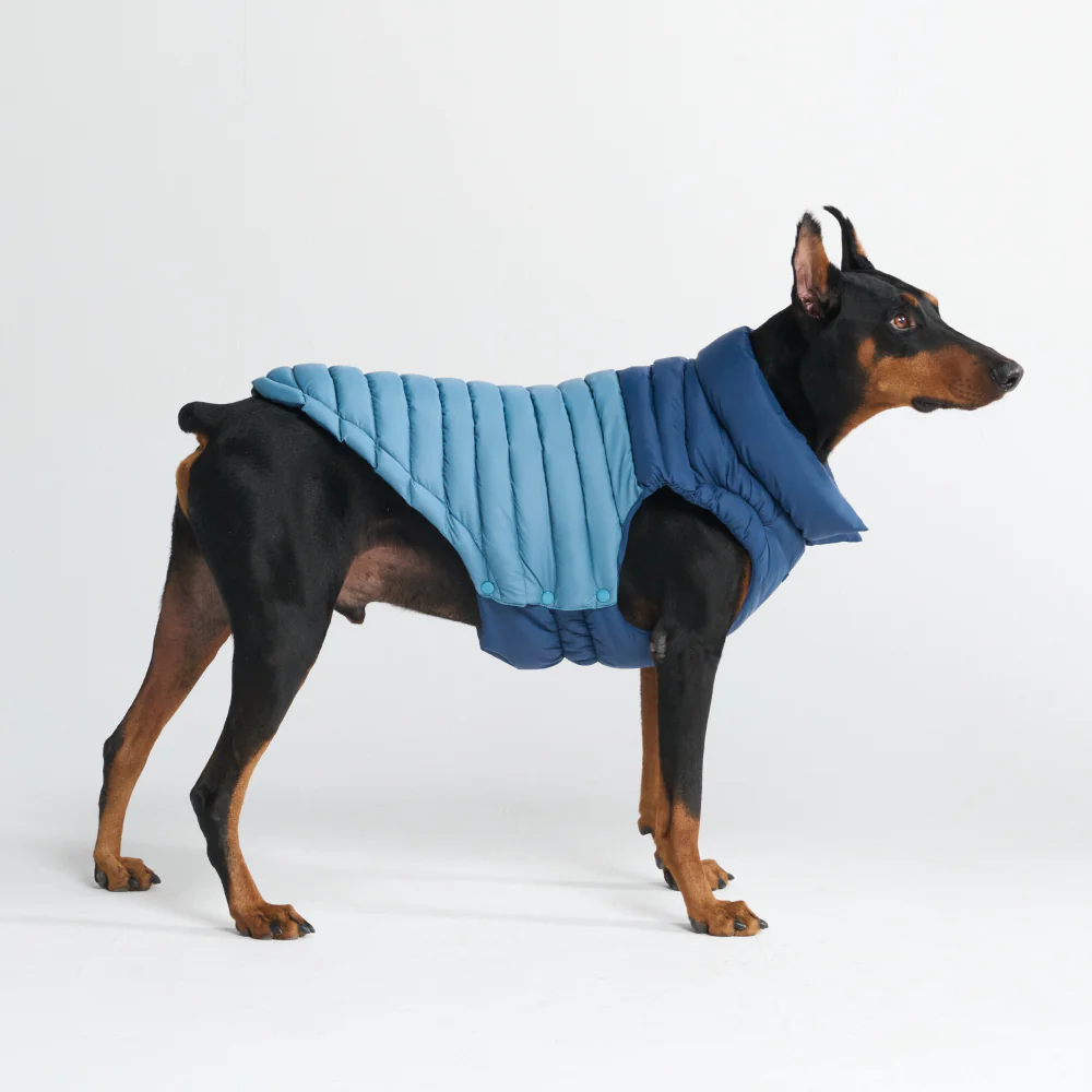 PuffShield Winter Jacket - Blue - Image 10