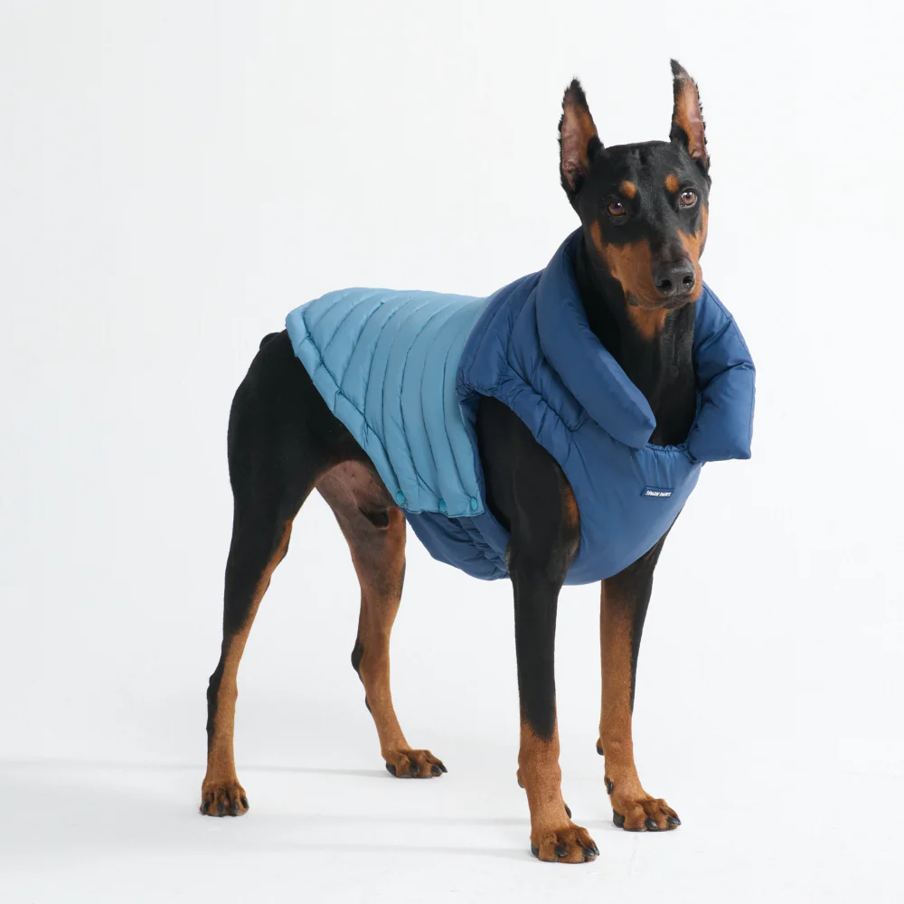 PuffShield Winter Jacket - Blue - Image 9