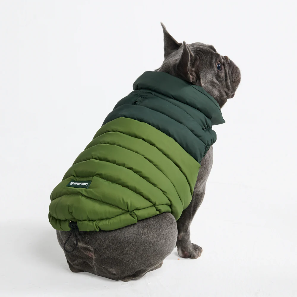 PuffShield Winter Jacket - Green - Image 2