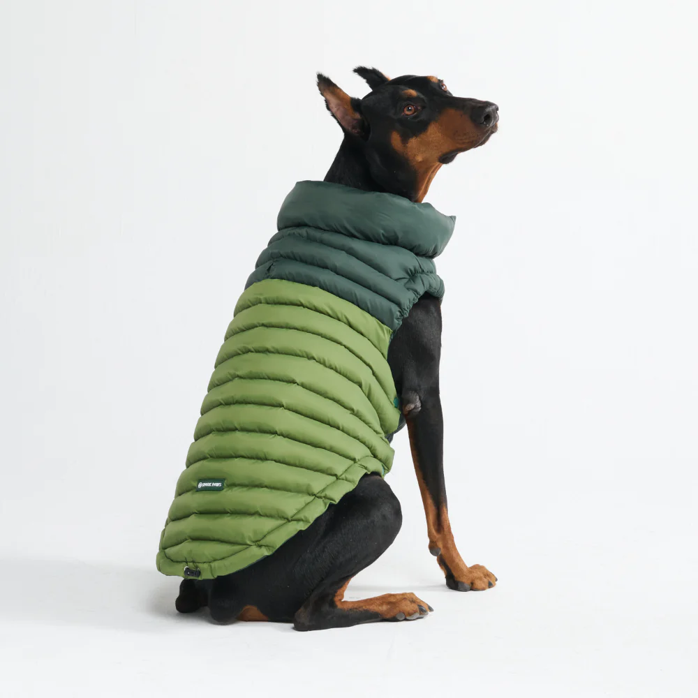 PuffShield Winter Jacket - Green - Image 4